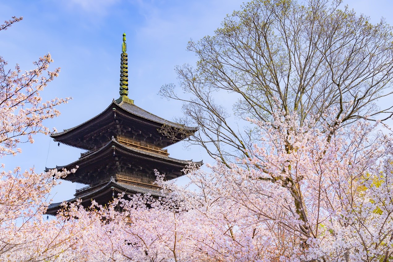 東寺