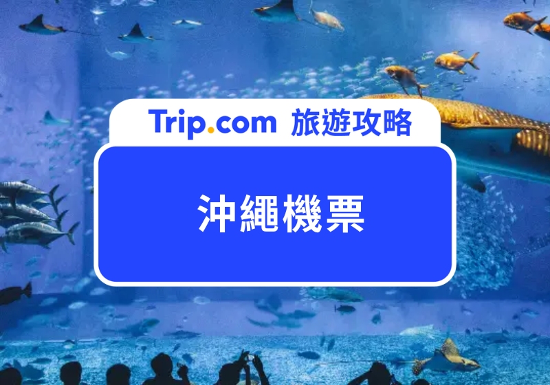 2025 沖繩機票攻略|達人教你如何搶到沖繩便宜機票,加碼網友激推沖繩必去景點 Top 5!