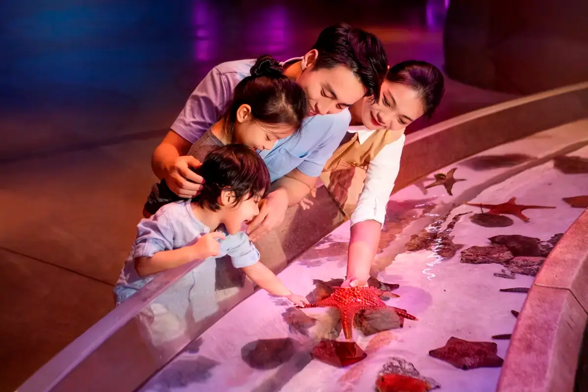 三亞亞特蘭蒂斯失落的空間水族館觸摸池