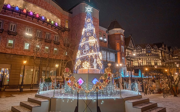 白色戀人公園聖誕樹