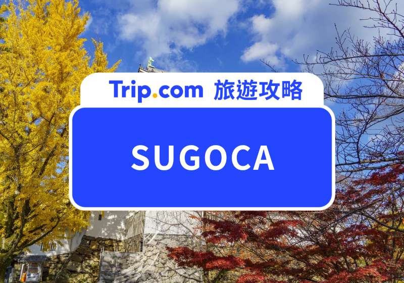 SUGOCA 全攻略：怎麼買、使用範圍與 Suica 差異一次看懂！ | Trip.com