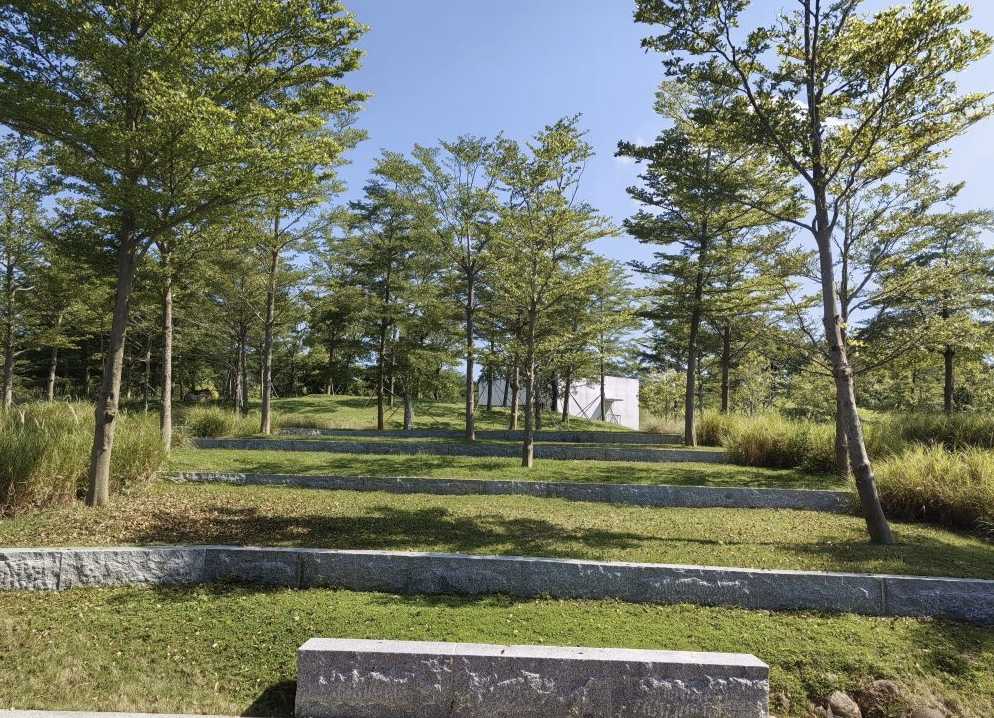 九圍濕地公園