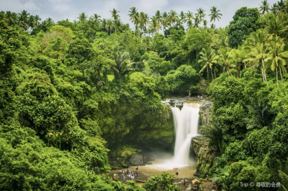 발리 여행 시기 우기
