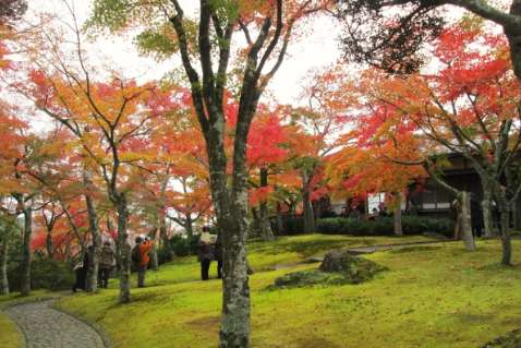 箱根美術館