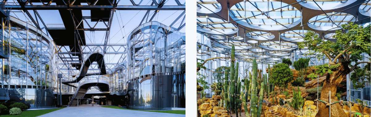L'architecture futuriste en verre du Shanghai Greenhouse Garden à Shanghai.