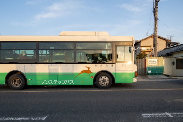 구마모토 항공권