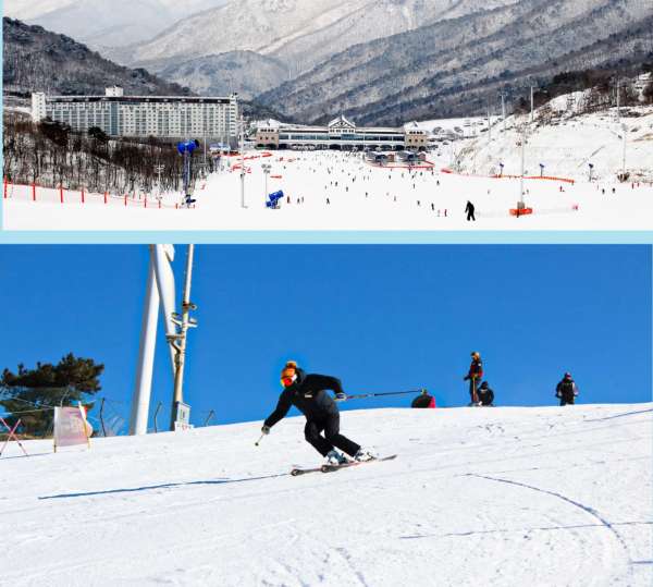 Busan Skiing