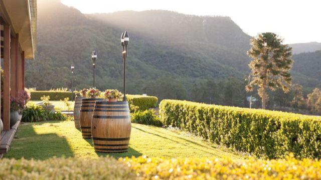 시드니 와이너리 투어, 오드리 월킨슨