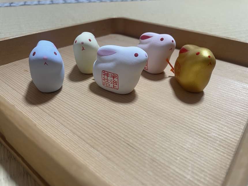 兔子授與品
