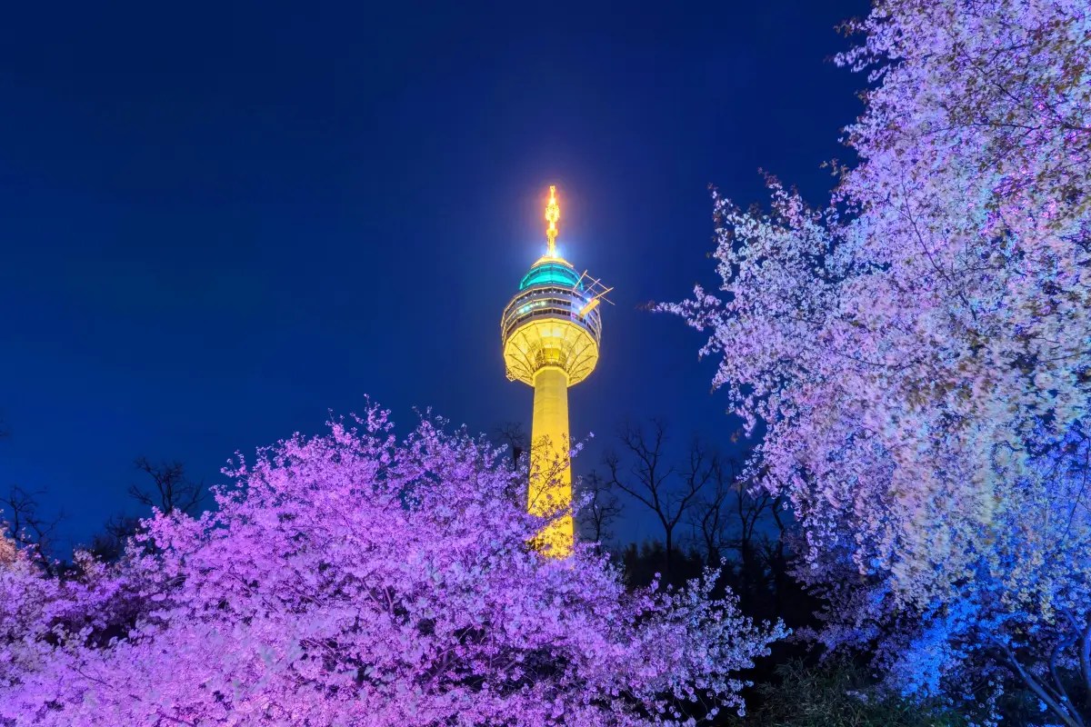 大邱必訪景點 #2 大邱 83 塔