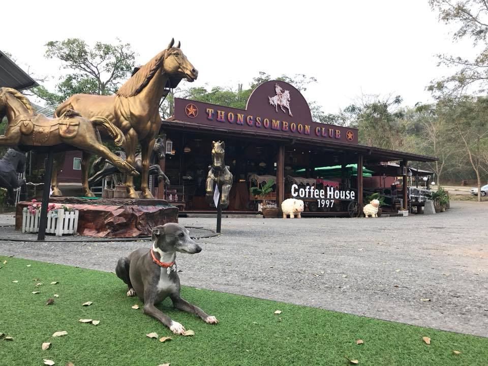 ไร่ทองสมบูรณ์คลับ