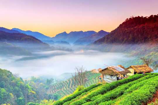 คู่มือ Road Trip 2569 ทริกเลือกรถเช่า วิธีเช็กประกัน และเส้นทางยอดฮิต | Trip.com