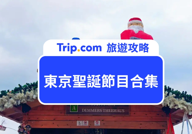 東京聖誕節目合集