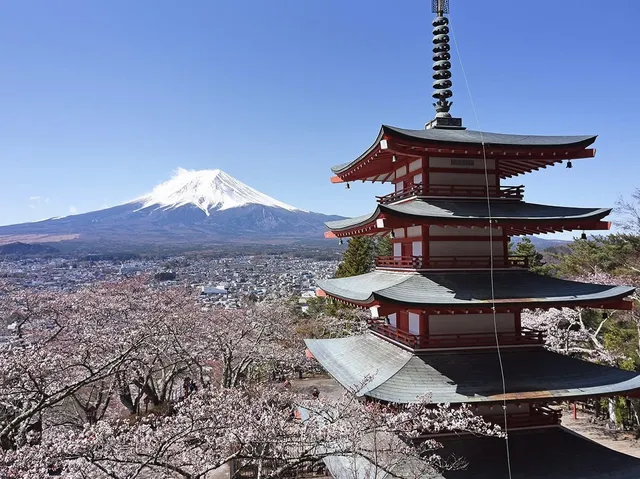 新倉山淺間公園介紹