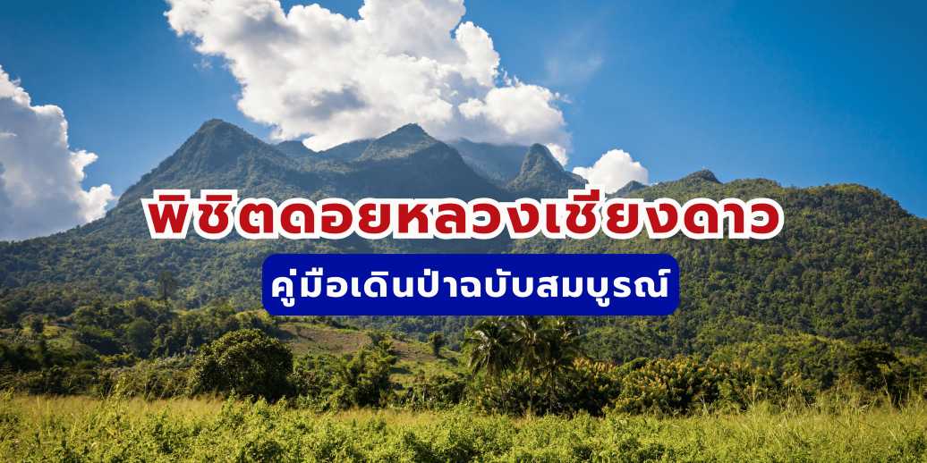 คู่มือพิชิตดอยหลวงเชียงดาว: จองยังไง วิธีเตรียมตัว ครบจบในที่เดียว