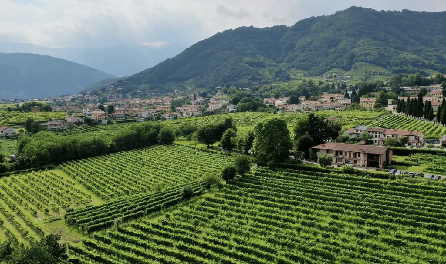 이탈리아 와이너리 투어 비용