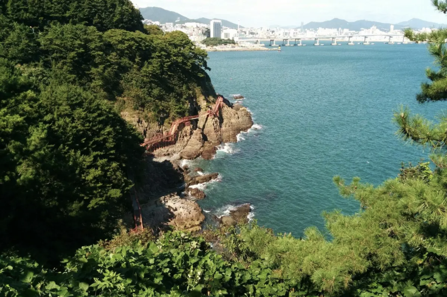 釜山觀光巴士景點推薦