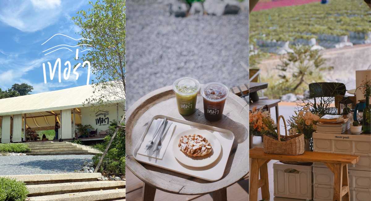TERRA cafe - ที่เที่ยววังน้ำเขียว