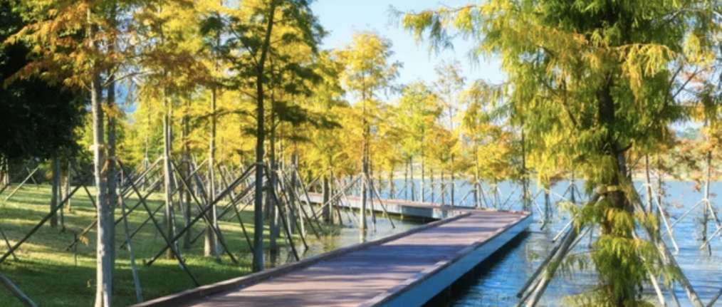 九圍濕地公園