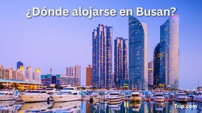 Dónde alojarse en Busan: mejores zonas y hoteles