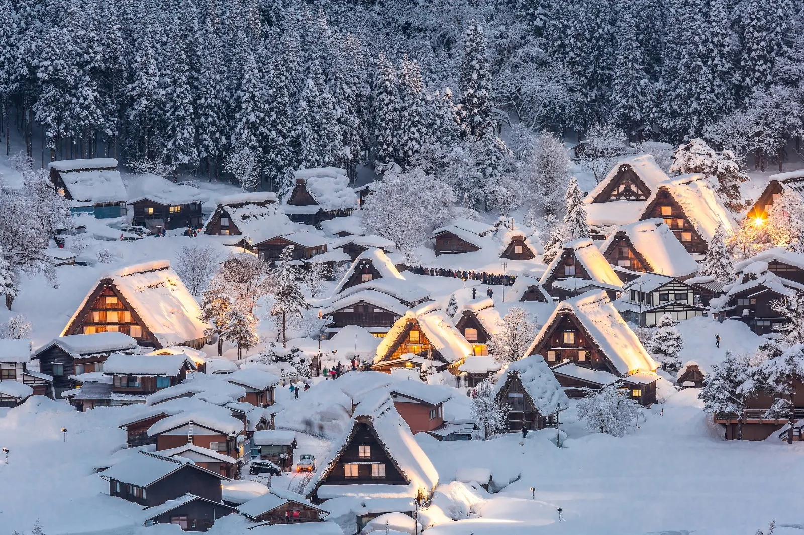 Best for Snow and Winter Trips