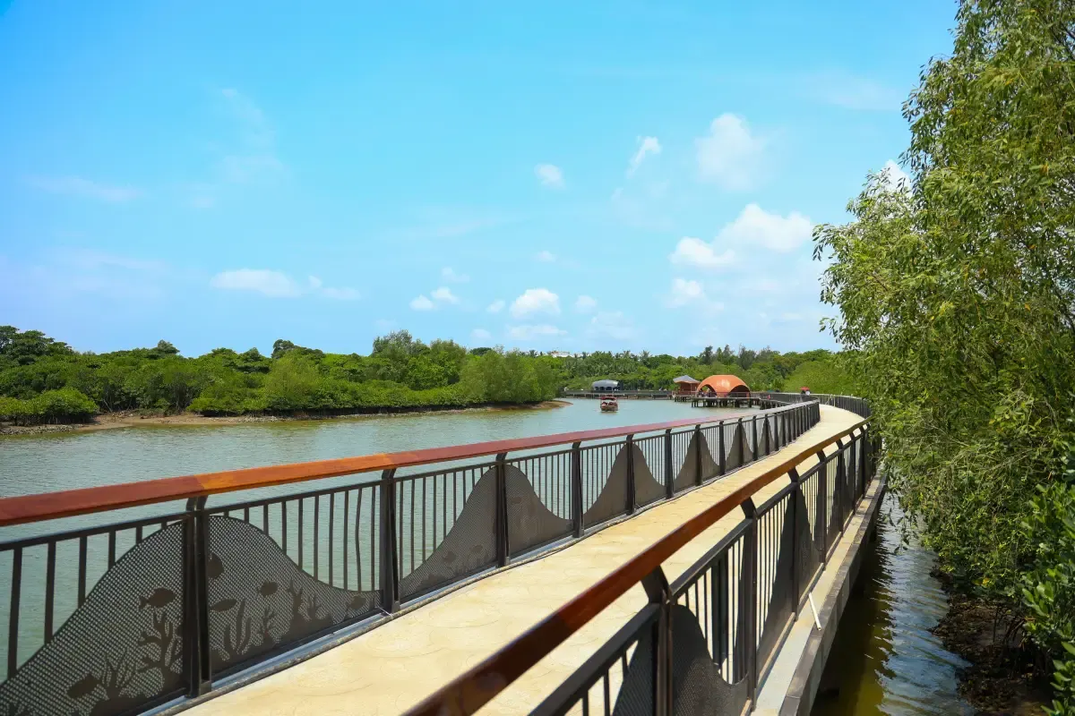 Dongzhaigang Mangroves