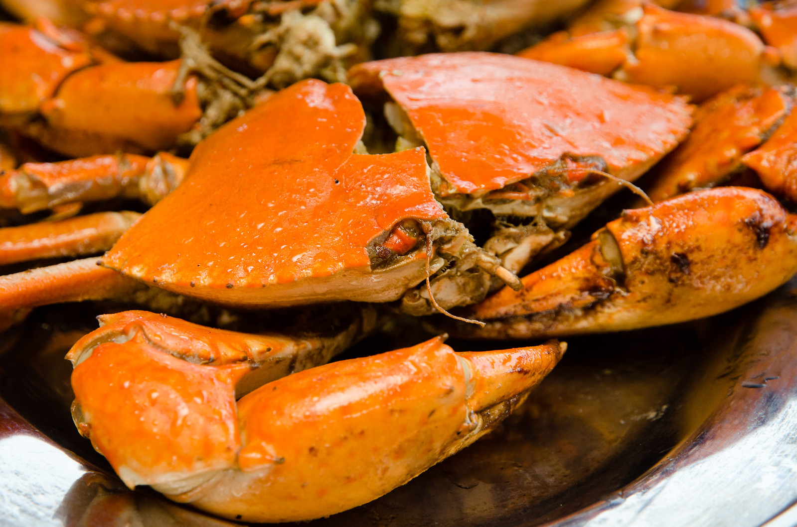 A delicious steamed crab