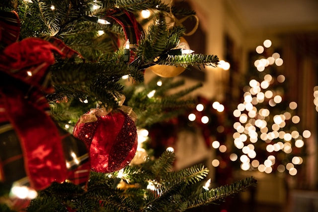 국내 크리스마스 마켓