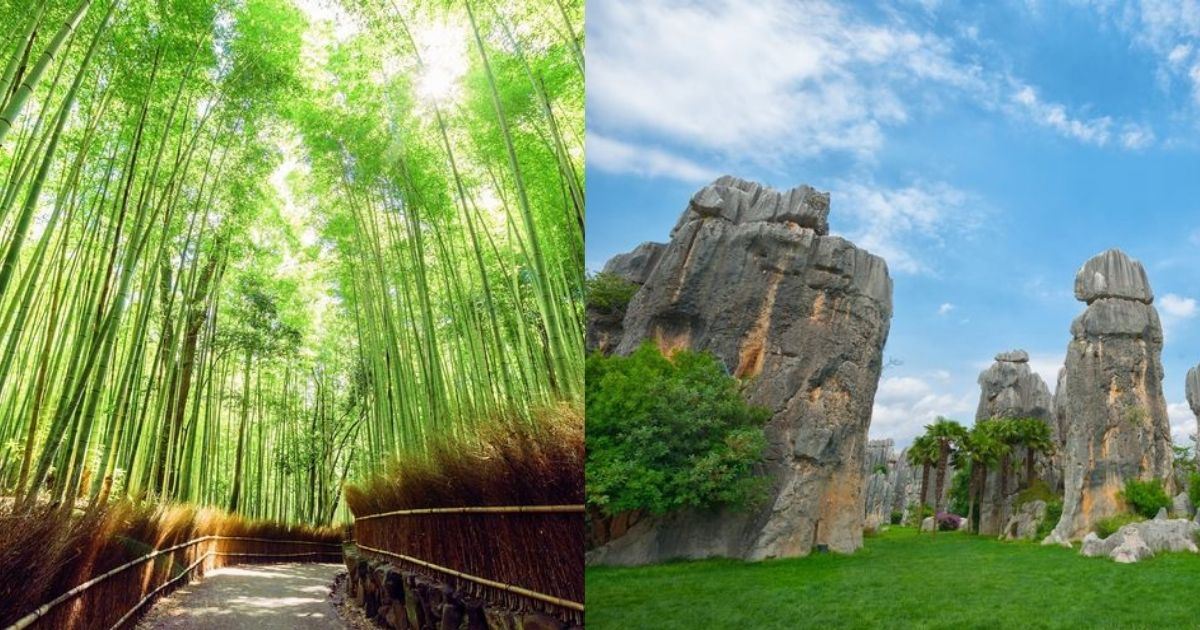 China vs. Japan: which has the best nature spots