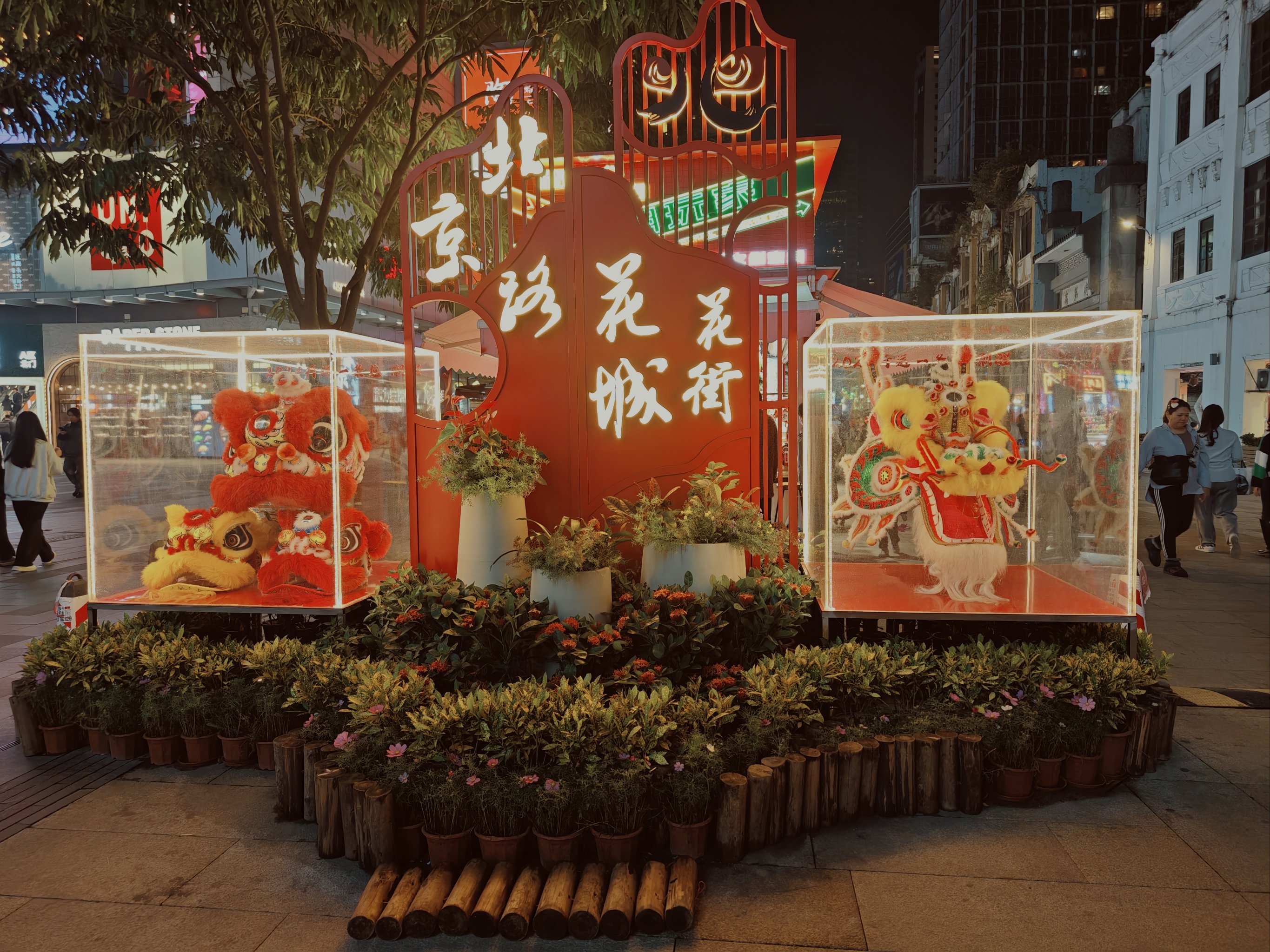 Beijing Night Market # 2 | Flower Street Night Market | Fresh Flower Night Market