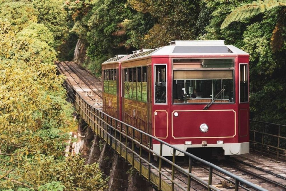A peak tram going through the forest