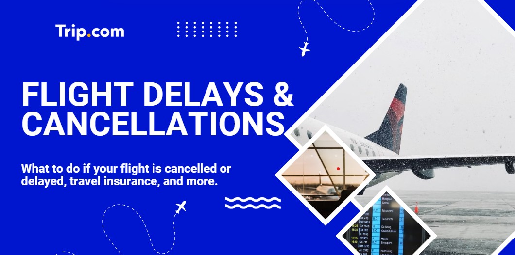 What to do if your flight is cancelled or delayed