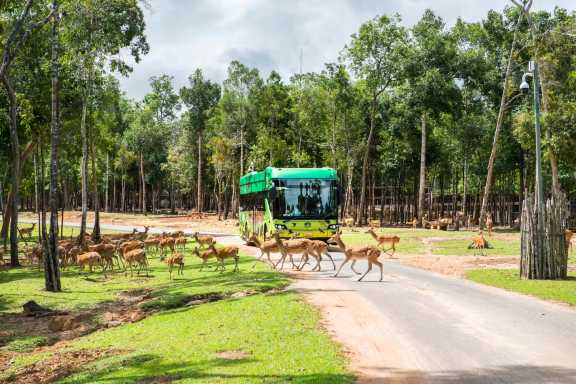 Vinpearl Safari Park