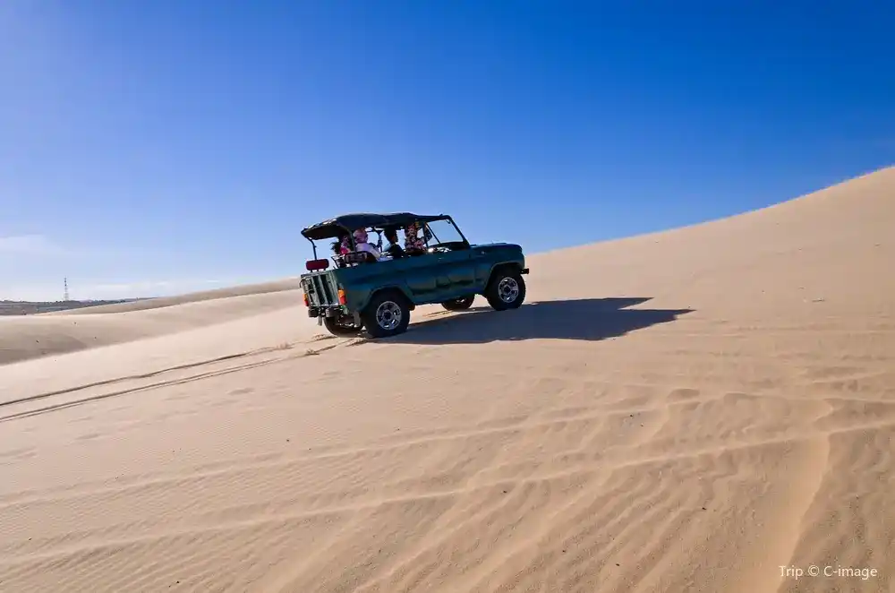 Red Sand Dunes