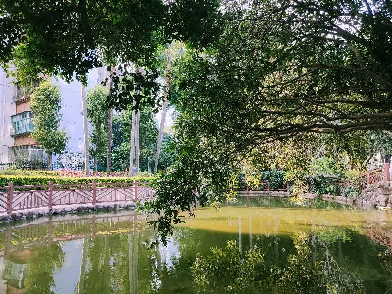 Shenzhen Children's Park