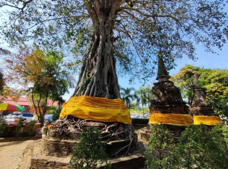 วัดหน้าพระเมรุ