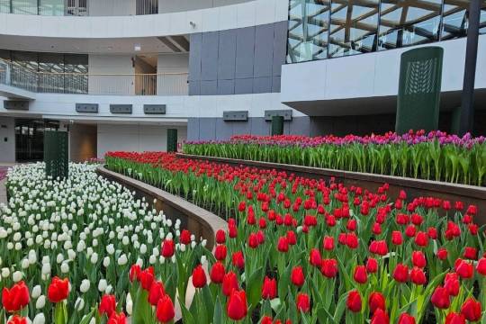 สวนรวมดอกไม้เมืองหนาว