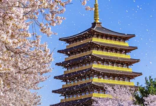 국내 힐링 여행 봄