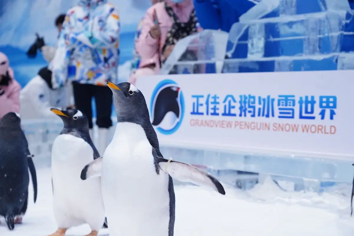 正佳企鵝冰雪世界