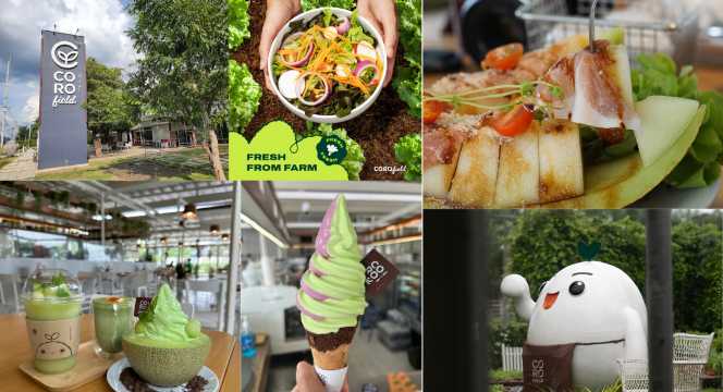 Coro Field - ที่เที่ยวสวนผึ้ง