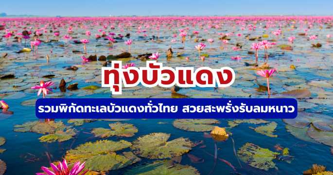 5 ทุ่งบัวแดง 2569 ทะเลบัวแดง อุดรธานี และที่เที่ยวใกล้กรุงเทพ | Trip.com