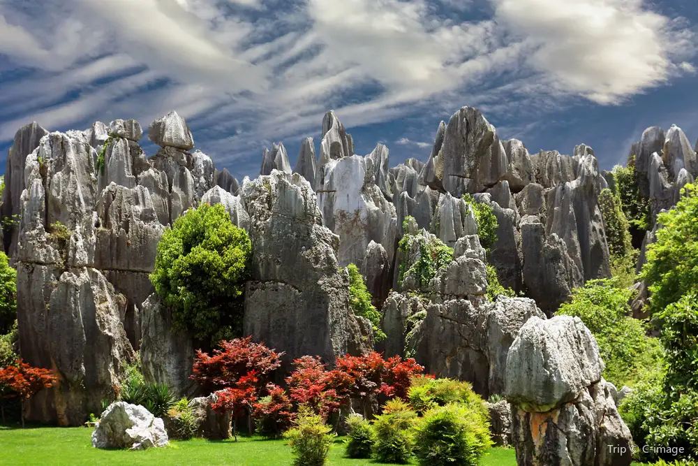 ป่าหินใหญ่ (Greater Stone Forest)