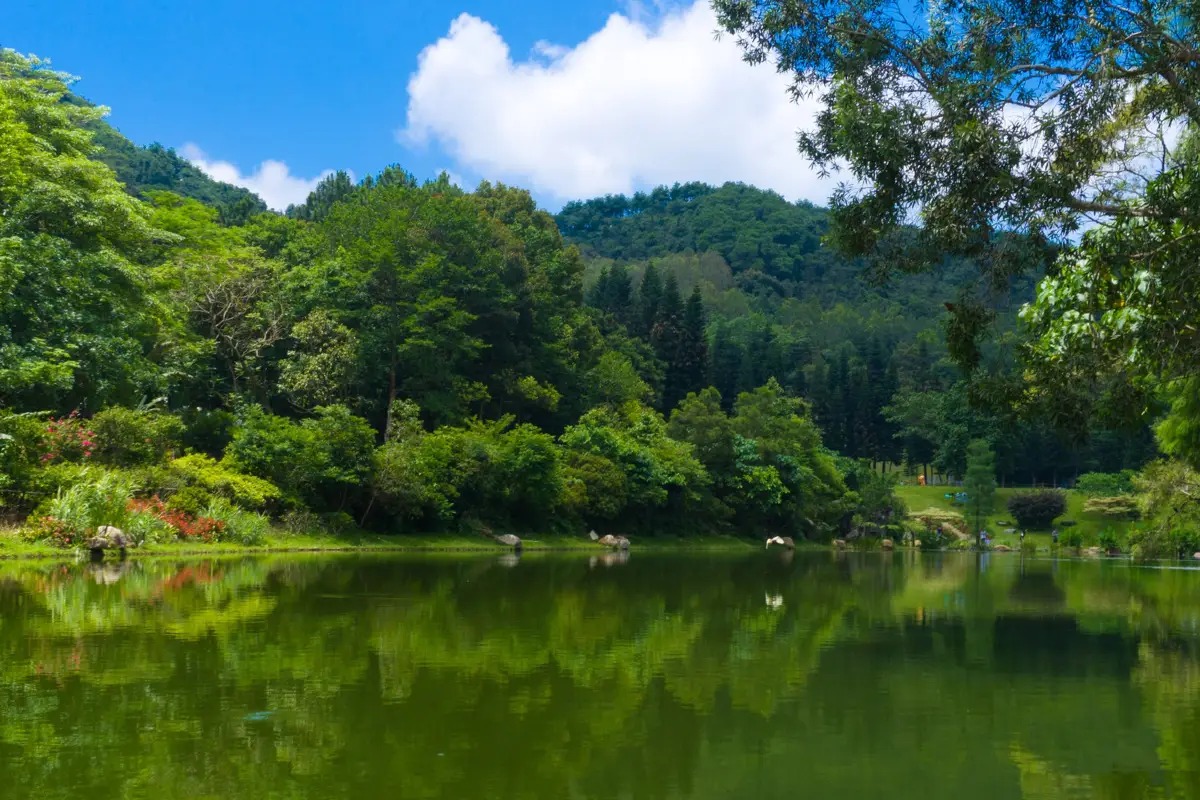 羅湖好去處