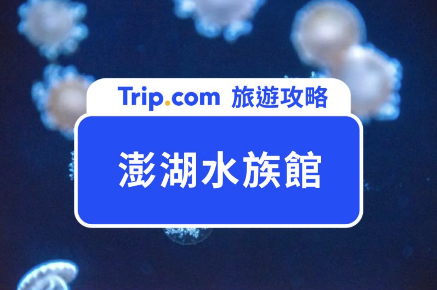 澎湖水族館