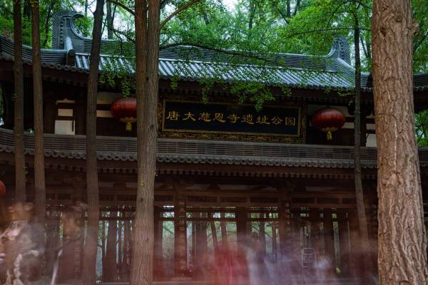 唐大慈恩寺遺址公園園林與長廊