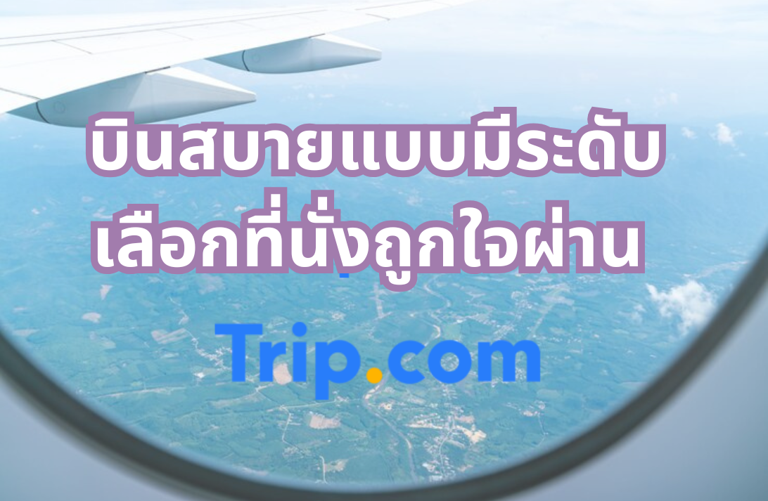 ที่นั่งบนเครื่องบิน