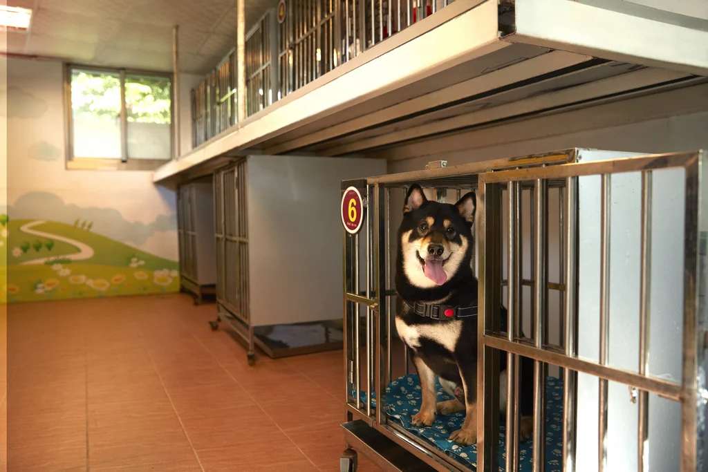 墾丁凱撒大飯店寵物友善空間