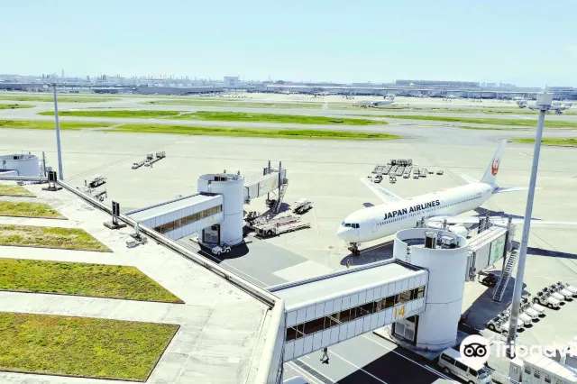 2026 日本便宜機票怎麼買？淡旺季、廉航比較與 8 大省錢技巧 | Trip.com