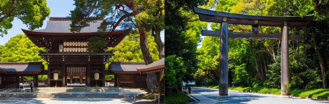 Santuario Meiji Jingu rodeado de naturaleza en Tokio
