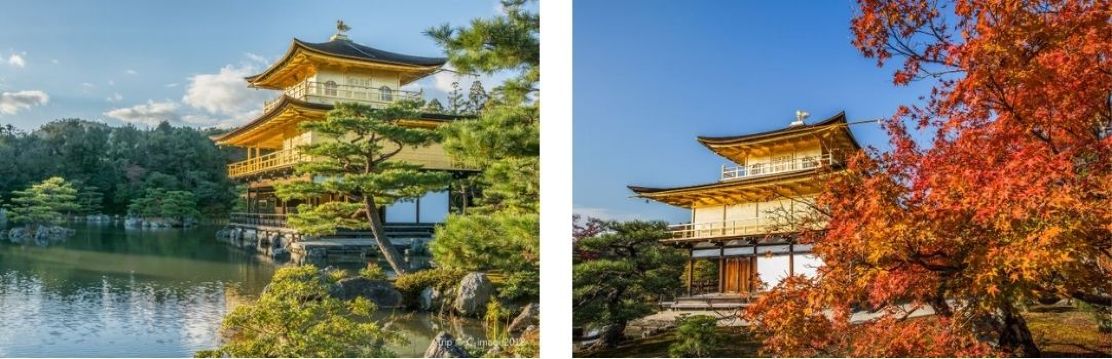 Kinkaku-ji: the glittering Golden Pavilion